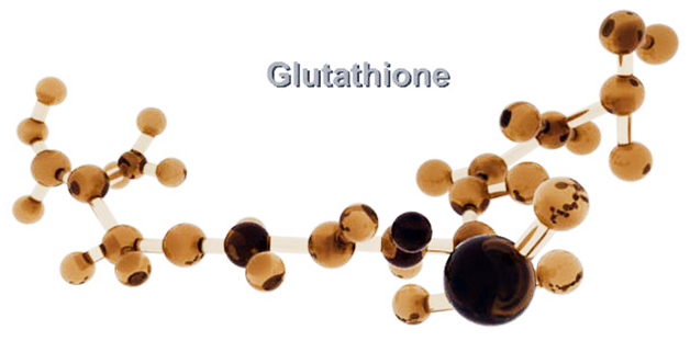 Glutation – funkcje, niedobór, wsparcie